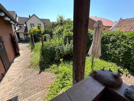 Blick in den Garten
