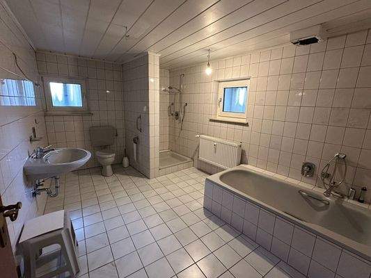 EG |&nbsp;Bad |&nbsp;Blick auf Dusche