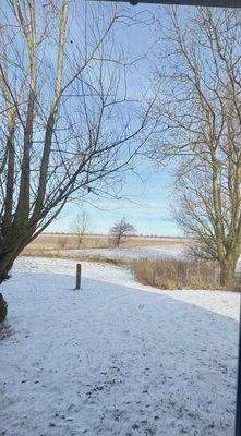 Blick aus der Küche im Winter