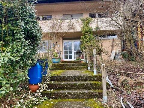 Haßmersheim Renditeobjekte, Mehrfamilienhäuser, Geschäftshäuser, Kapitalanlage