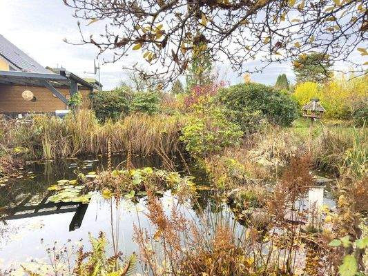 Gartenteich