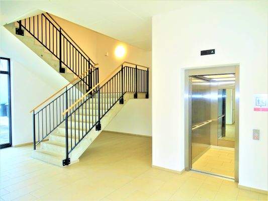 helles Treppenhaus mit Aufzug (auch für liegend Transport)