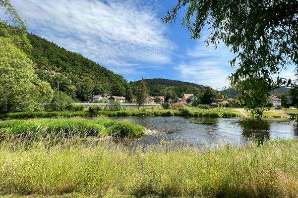 Blick zum rechten Saaleufer