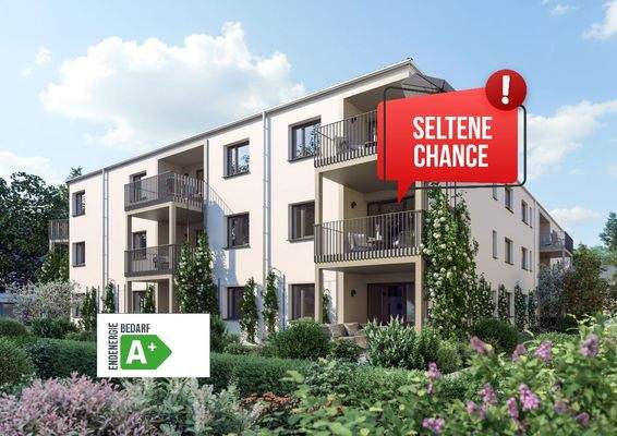 Gartenseite Wohnung 5