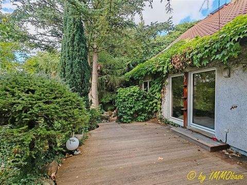 Frankenberg , Sachs Häuser, Frankenberg , Sachs Haus kaufen