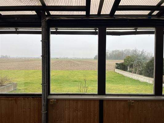 Blick vom Wintergarten auf Terrasse und  Garten