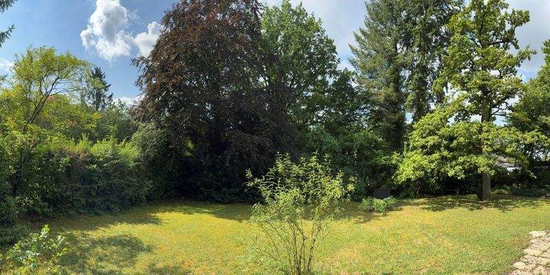 Sonniges Villen-Traumgrundstück.jpg