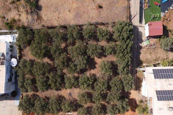 Kreta, Agioi Apostoli: Grundstück mit Meerblick in der Nähe des Stadtzentrums zu verkaufen