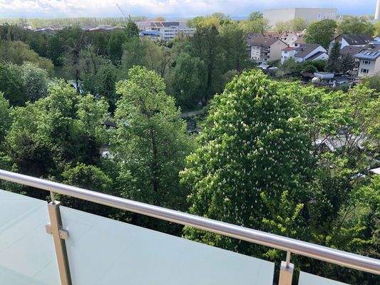 Blick auf Weiher im Frühling