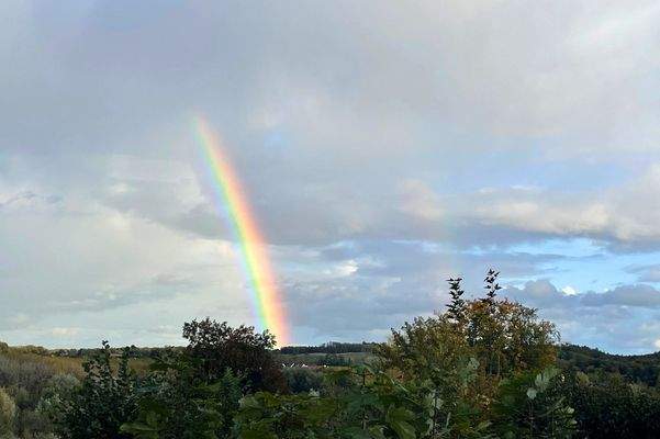 Regenbogen