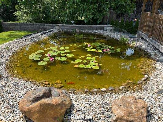 Teich