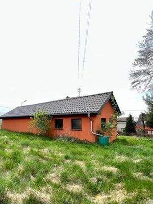 IMG_0810 Mittel.jpeg