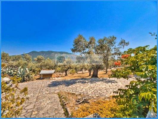 99d5ce0e0d95469abc465d70bee96dda-original