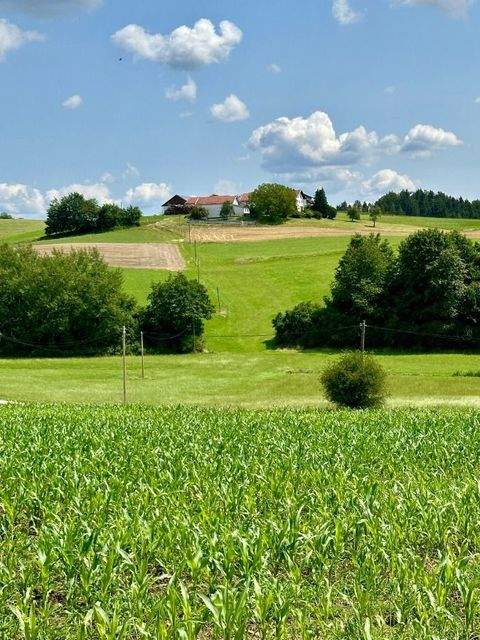 Pleiskirchen Häuser, Pleiskirchen Haus kaufen
