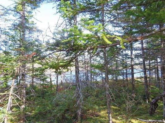 Cape Breton - Belfry Lake - Traumhaft schöne Lage 