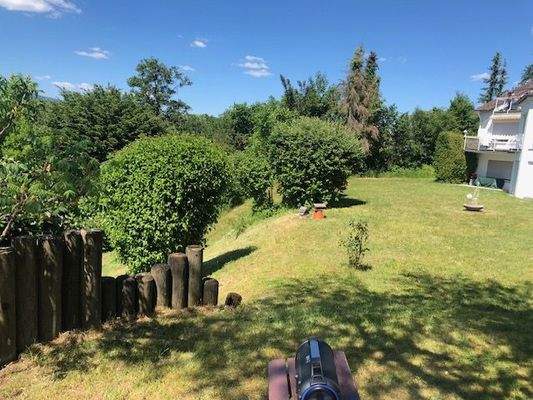 Blick in die Natur II