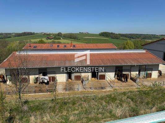 Stall mit Aussenpaddocks