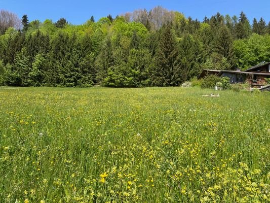 Schöne Naturlage