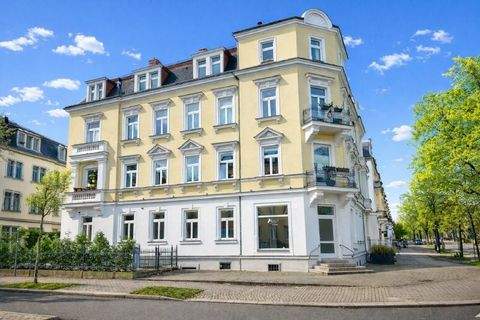 Dresden Ladenlokale, Ladenflächen 