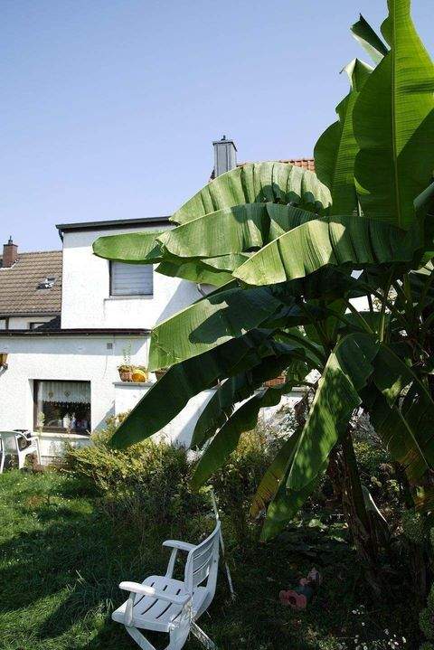 Düsseldorf Häuser, Düsseldorf Haus kaufen