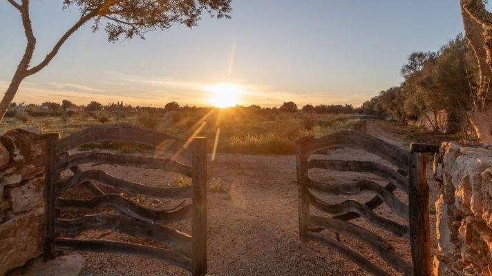 18334504-22f9-41c9-b64e-b25935b5dd41