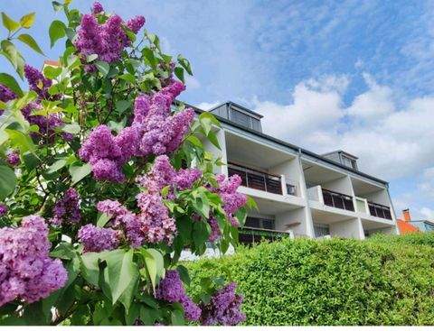 Queis Wohnungen, Queis Wohnung mieten