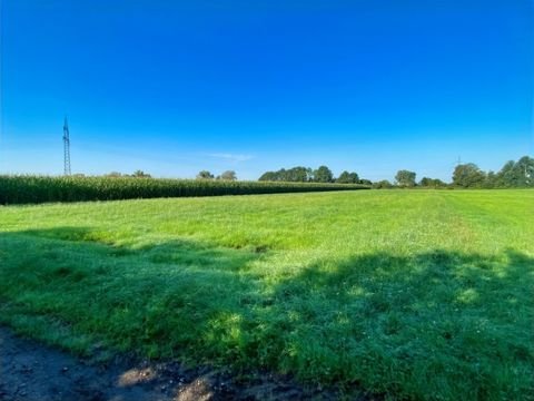 Ismaning Bauernhöfe, Landwirtschaft, Ismaning Forstwirtschaft