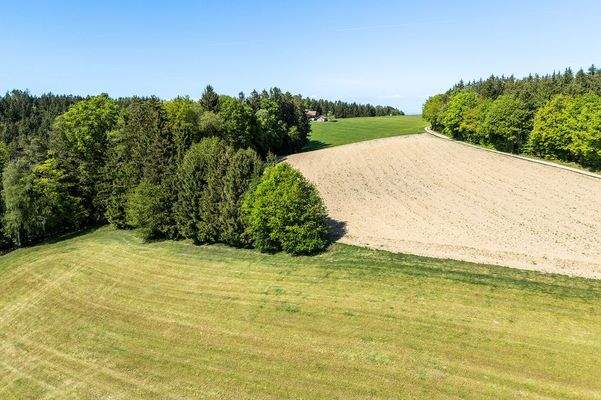 Mayr Immobilien-Haus Maria Schmolln-250430-07-Web