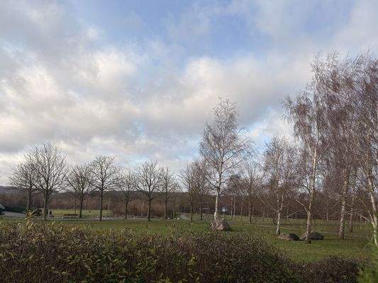 Direkte Umgebung - Ideal zum Spazieren und Joggen zum Feierabend