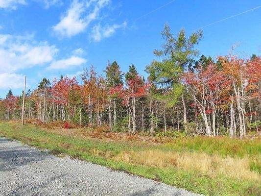 Cape Breton - Traumhaft schöne Atlantik-Lage - Pre