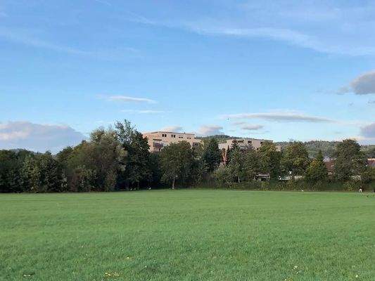 Das Haus von der Wiese aus