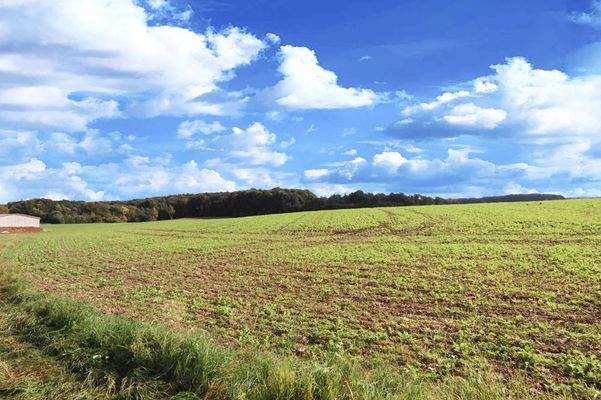 Angrenzende Flächen