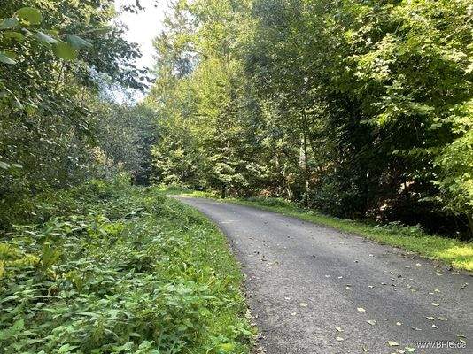 Zentrale Erschließungsstraße