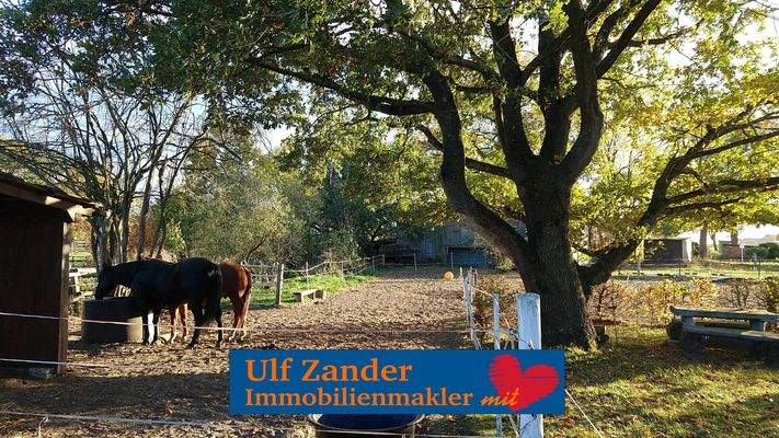 Resthof zur Pferdehaltung mit 10.218 m² Grundstück