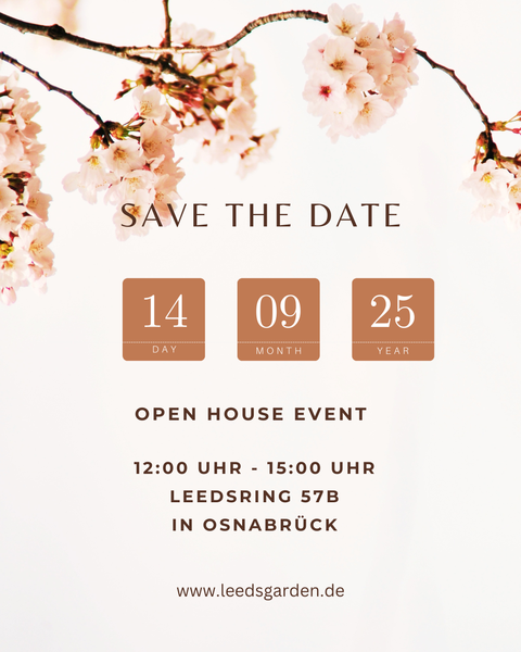 Osnabrück Häuser, Osnabrück Haus kaufen