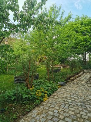 Garten 2.jpg