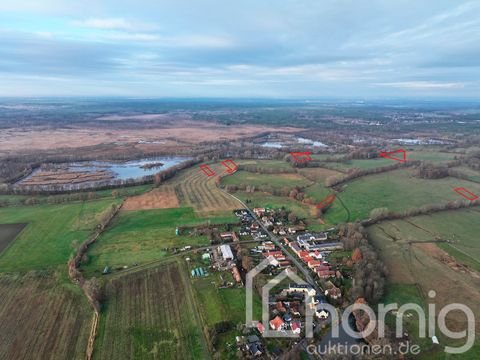 Wittichenau Bauernhöfe, Landwirtschaft, Wittichenau Forstwirtschaft