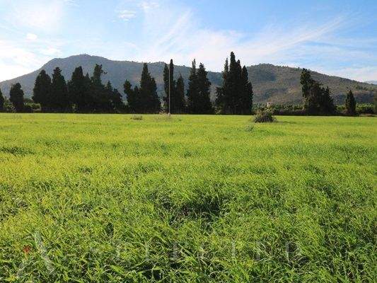 New brand Villa in construction between Inca and Llubi_08