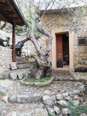 Berghütte – Außenansicht