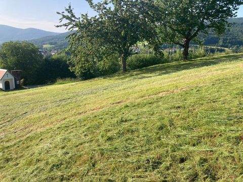 Hunding Grundstücke, Hunding Grundstück kaufen
