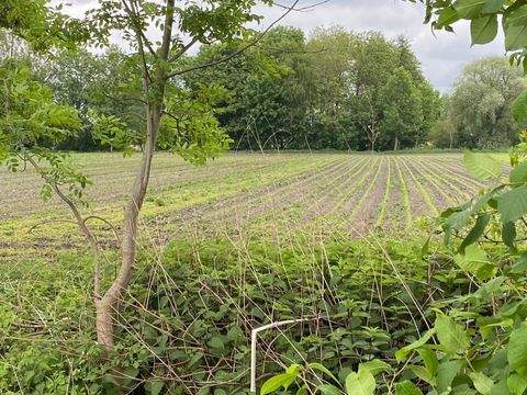 Ismaning Bauernhöfe, Landwirtschaft, Ismaning Forstwirtschaft