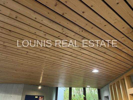 Deckenverkleidung mit Spots