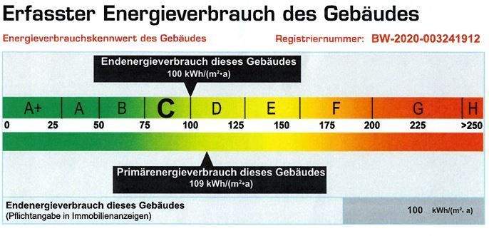 Auszug aus dem Energieausweis