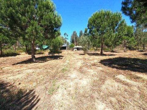 Rio Maior Häuser, Rio Maior Haus kaufen