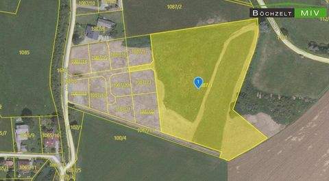 Baierdorf Bauernhöfe, Landwirtschaft, Baierdorf Forstwirtschaft