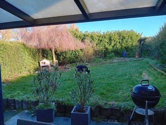 1025917_2_Blick in den Garten.jpg