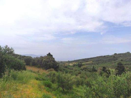 Kreta, Kastellos: Grundstück mit Meerblick zu verkaufen