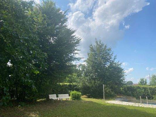 Image - 2025-07-08T131743.530.jpg