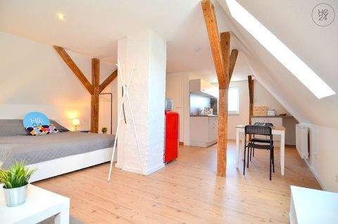 Ulm Wohnen auf Zeit, möbliertes Wohnen