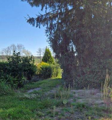 Grundstück - innen 2.jpg